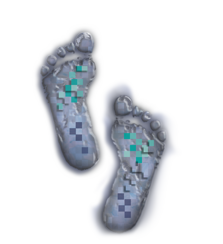 Celestra Health Medical Smart Insole digital footprint